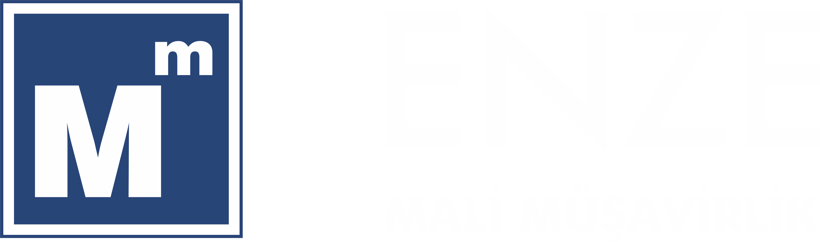 ENZE Mali Müşavirlik Logo